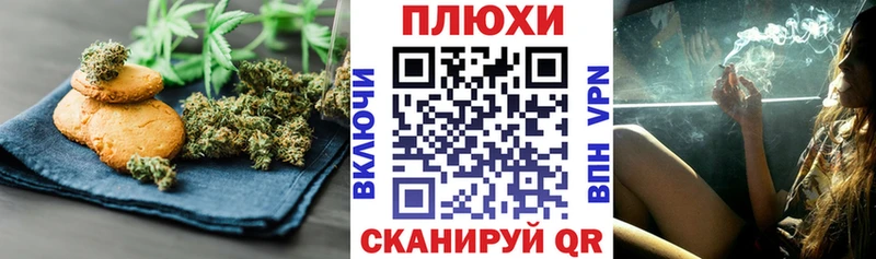 как найти закладки  Злынка  Canna-Cookies конопля 
