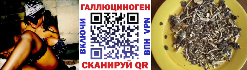 Галлюциногенные грибы Psilocybine cubensis  Злынка 