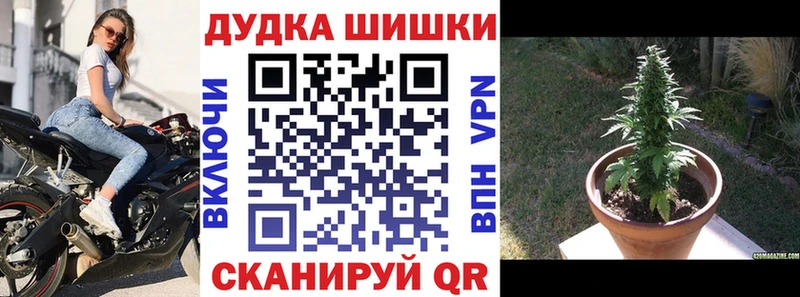 omg ССЫЛКА Злынка МАРИХУАНА White Widow